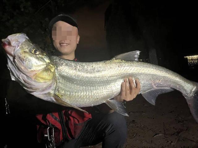 开云全站APP-生态治理还是高价钓鱼？西昌邛海4000元钓鱼年卡引质疑 律师：如此收费无法律依据